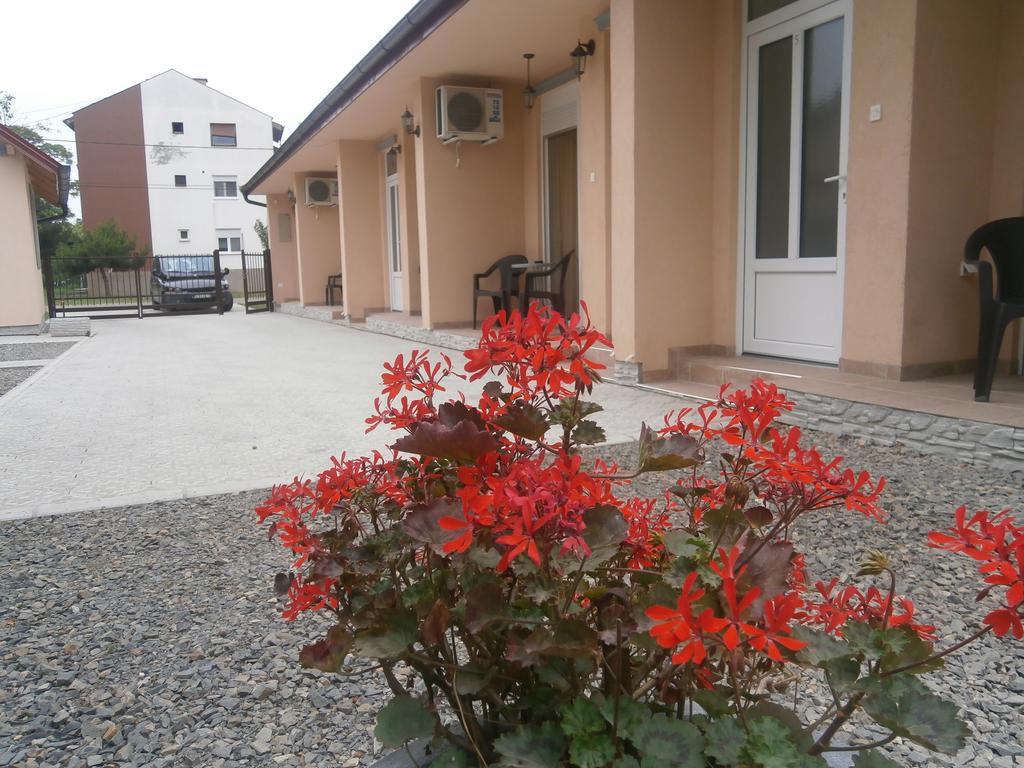 Apartments Svetlica Petrőc Kültér fotó