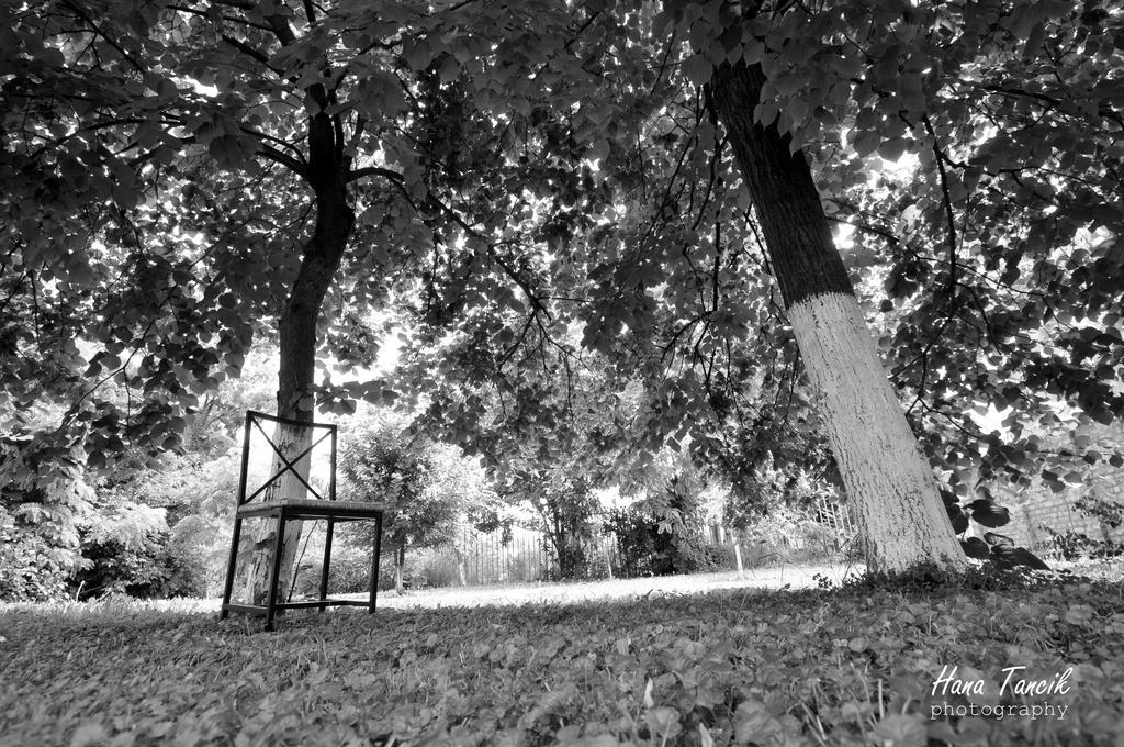 Apartments Svetlica Petrőc Kültér fotó